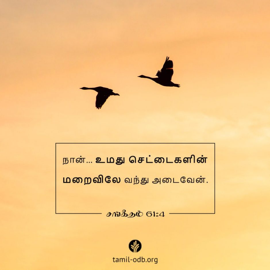 Share Tamil ODB 2025-10-31 Share Tamil ODB 2025-10-31