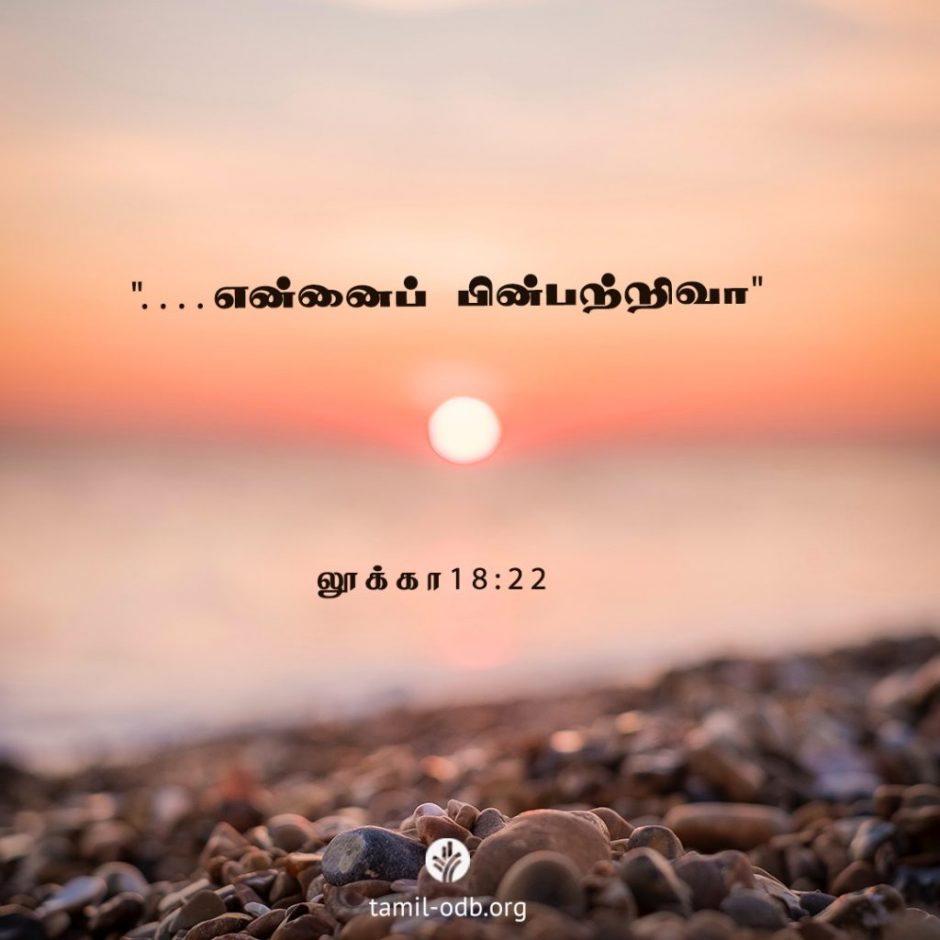 Share Tamil ODB 2025-11-01 Share Tamil ODB 2025-11-01