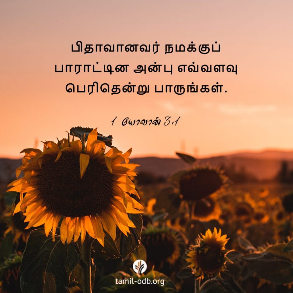 Share Tamil ODB 2025-11-05 Share Tamil ODB 2025-11-05