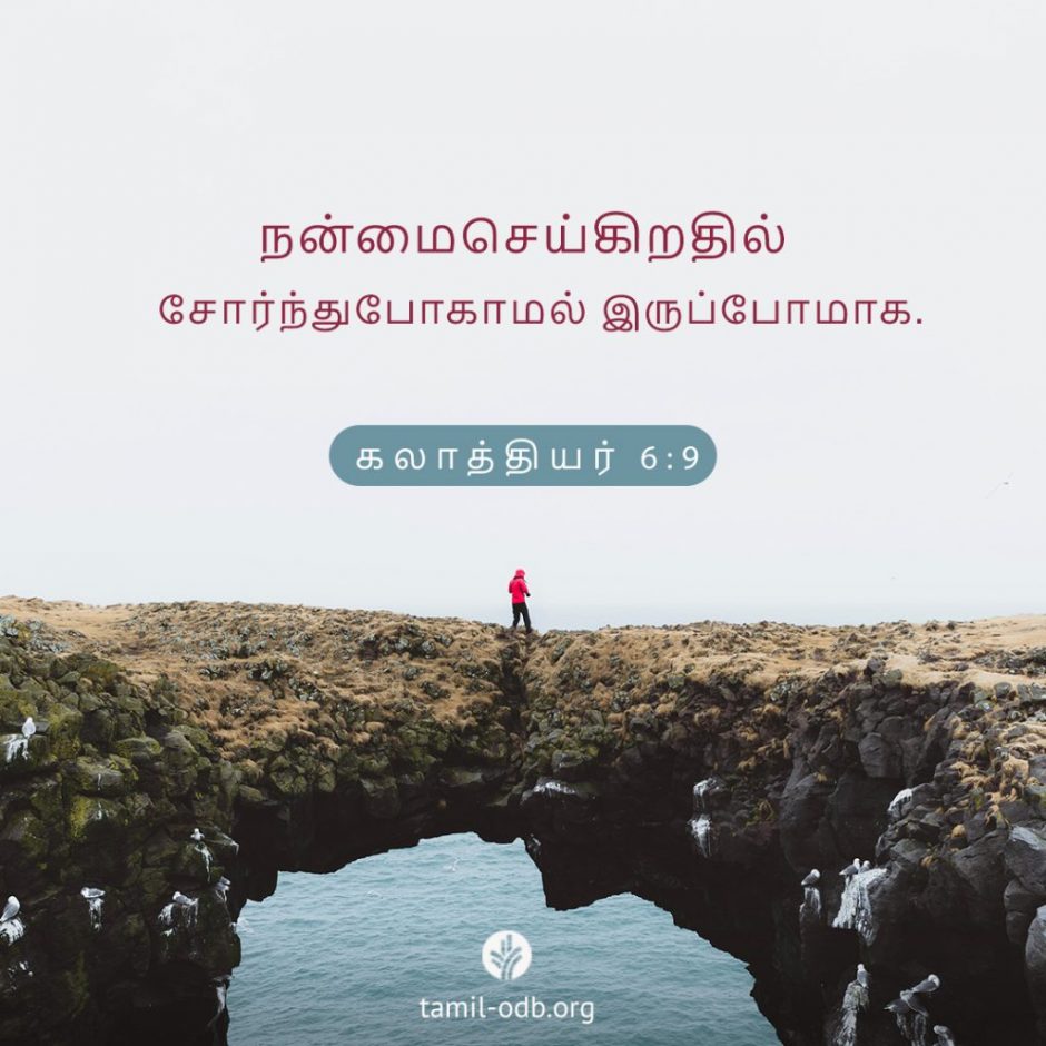Share Tamil ODB 2025-11-06 Share Tamil ODB 2025-11-06