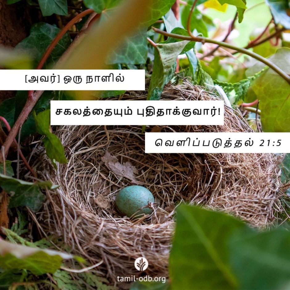 Share Tamil ODB 2025-11-07 Share Tamil ODB 2025-11-07