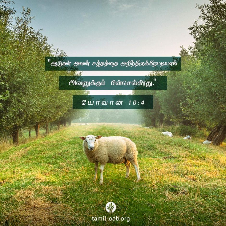 Share Tamil ODB 2025-11-08 Share Tamil ODB 2025-11-08