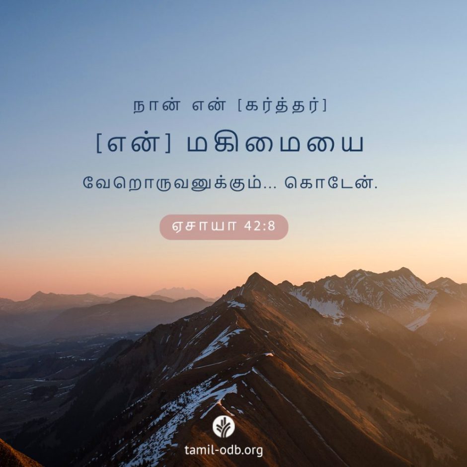 Share Tamil ODB 2025-11-11
