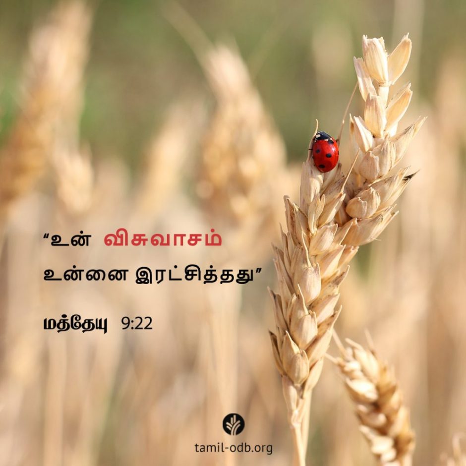 Share Tamil ODB 2025-11-12 Share Tamil ODB 2025-11-12