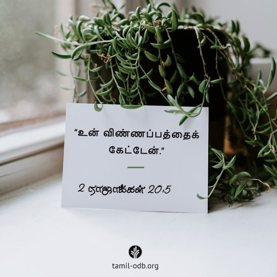 Share Tamil ODB 2025-11-13 Share Tamil ODB 2025-11-13