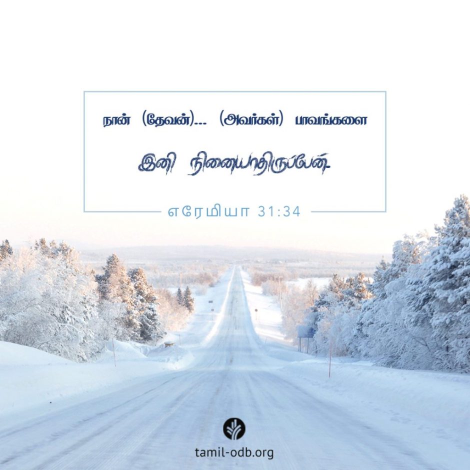 Share Tamil ODB 2025-11-14 Share Tamil ODB 2025-11-14