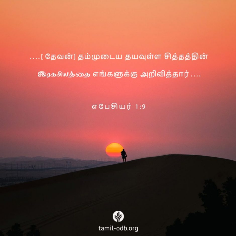 Share Tamil ODB 2025-11-17 Share Tamil ODB 2025-11-17