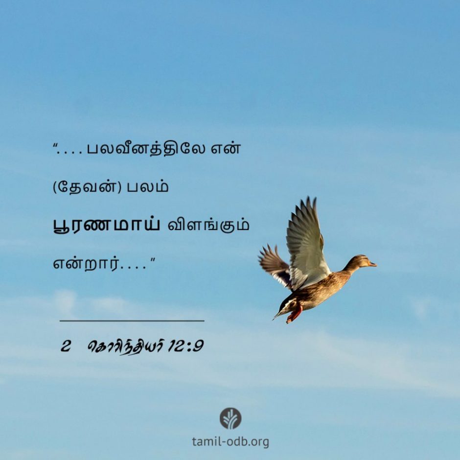 Share Tamil ODB 2025-11-19 Share Tamil ODB 2025-11-19