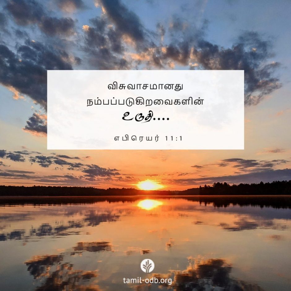 Share Tamil ODB 2025-11-25