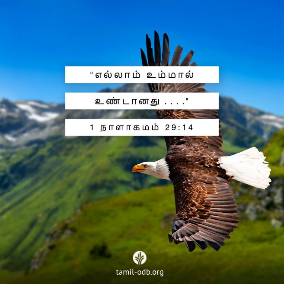 Share Tamil ODB 2025-11-26 Share Tamil ODB 2025-11-26