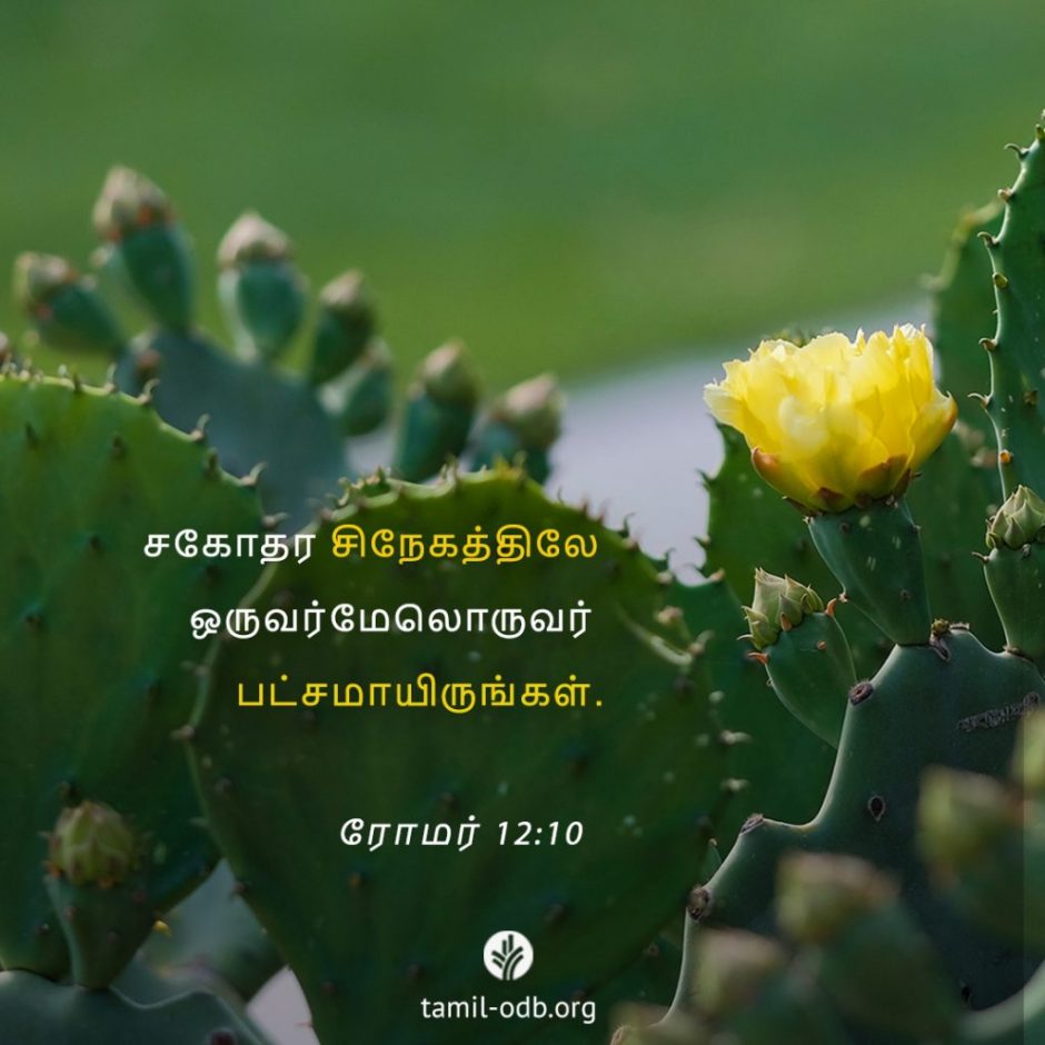 Share Tamil ODB 2025-11-28 Share Tamil ODB 2025-11-28