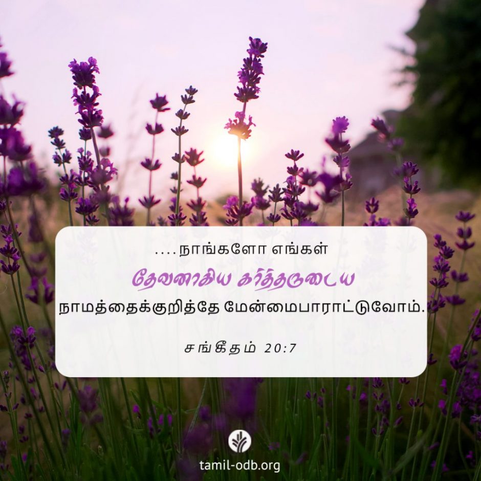 Share Tamil ODB 2025-11-30