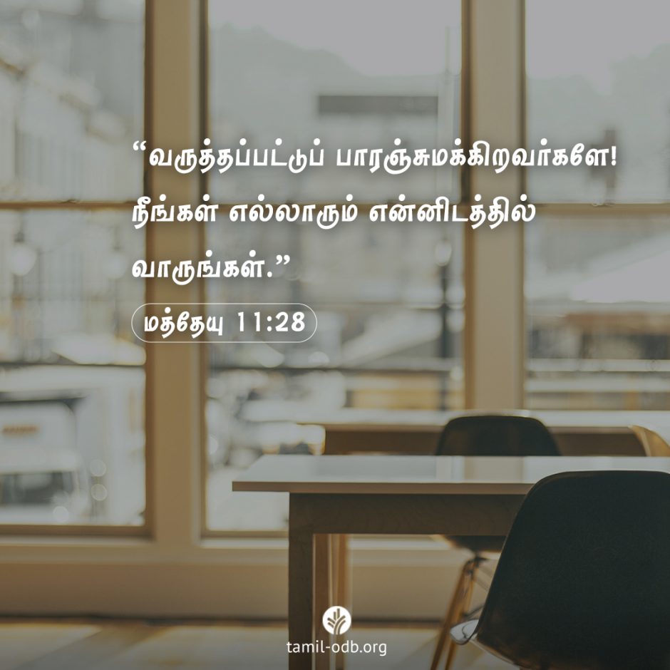 Share Tamil ODB 2025-12-01