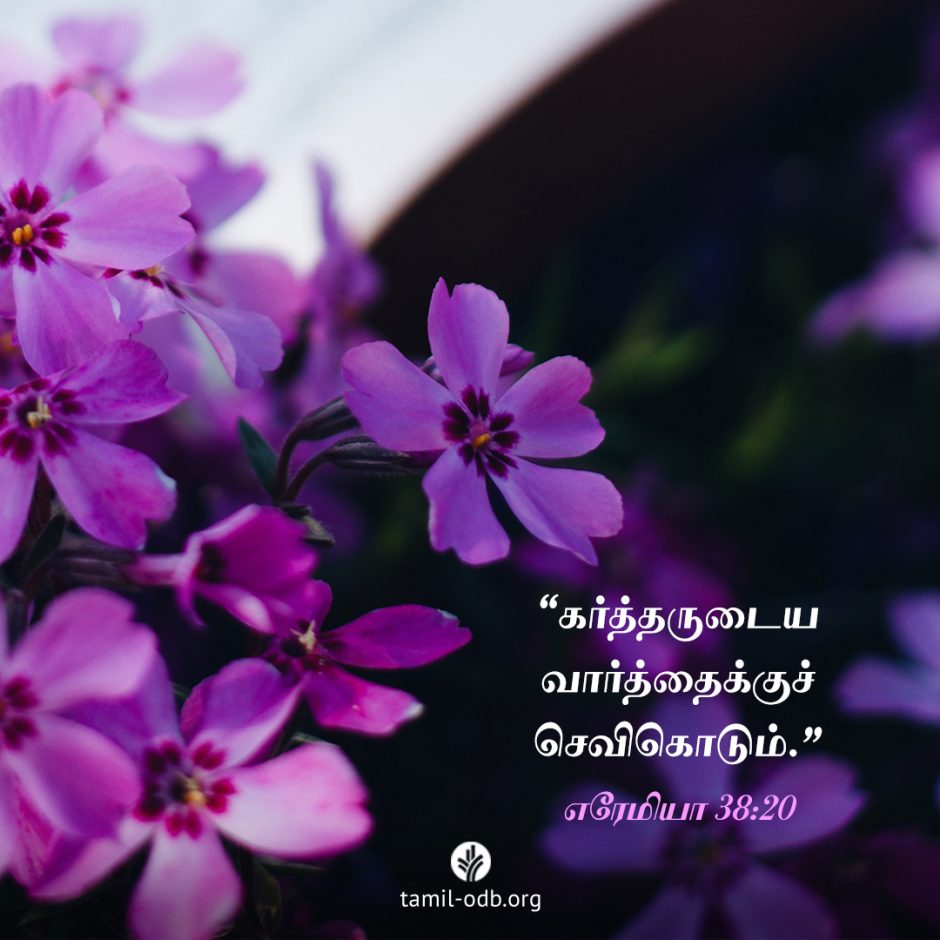 Share Tamil ODB 2025-12-03