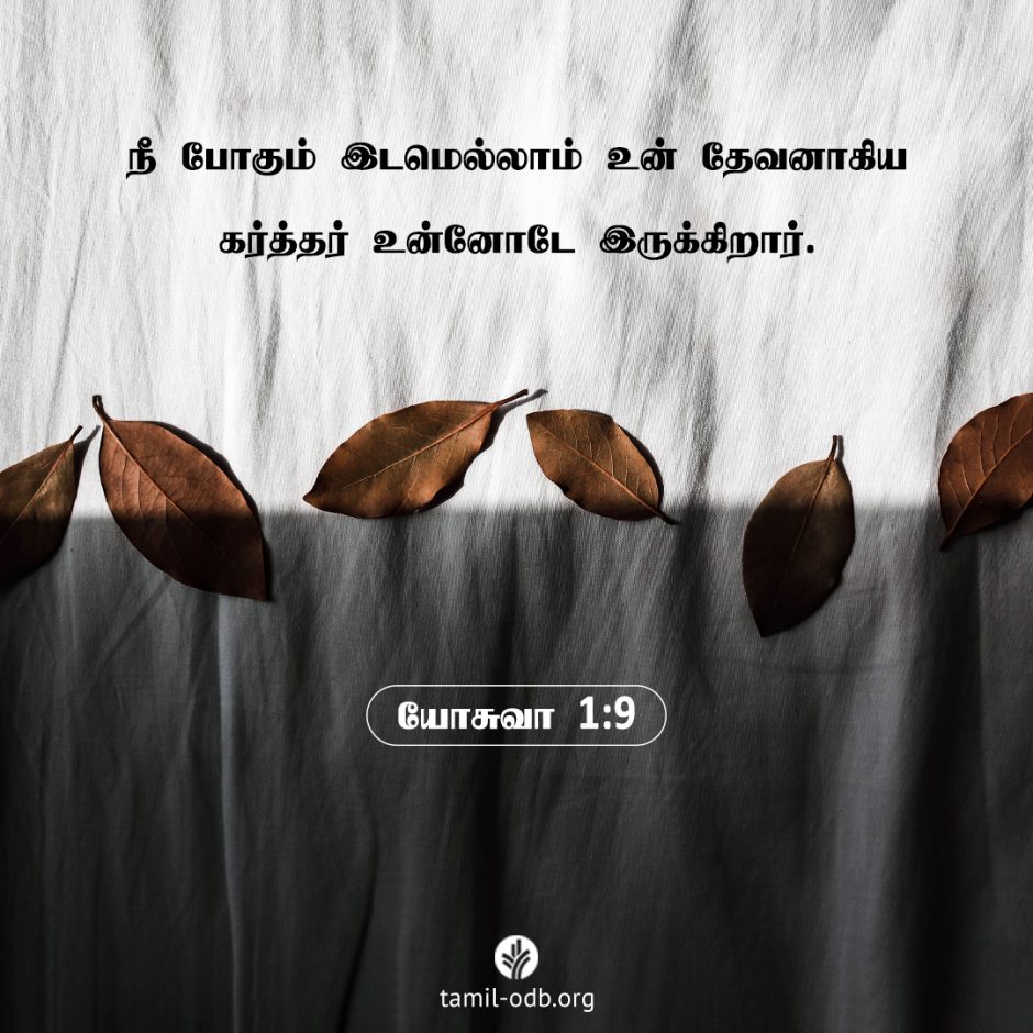 Share Tamil ODB 2025-12-05