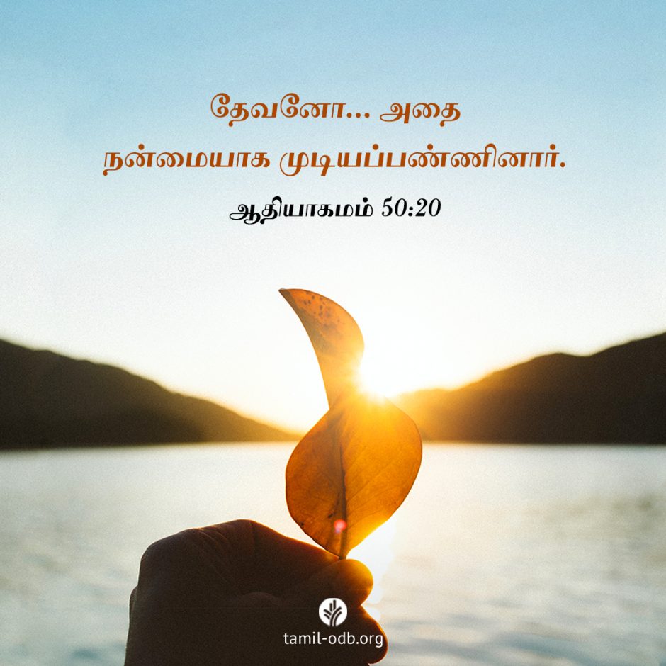 Share Tamil ODB 2025-12-13 Share Tamil ODB 2025-12-13