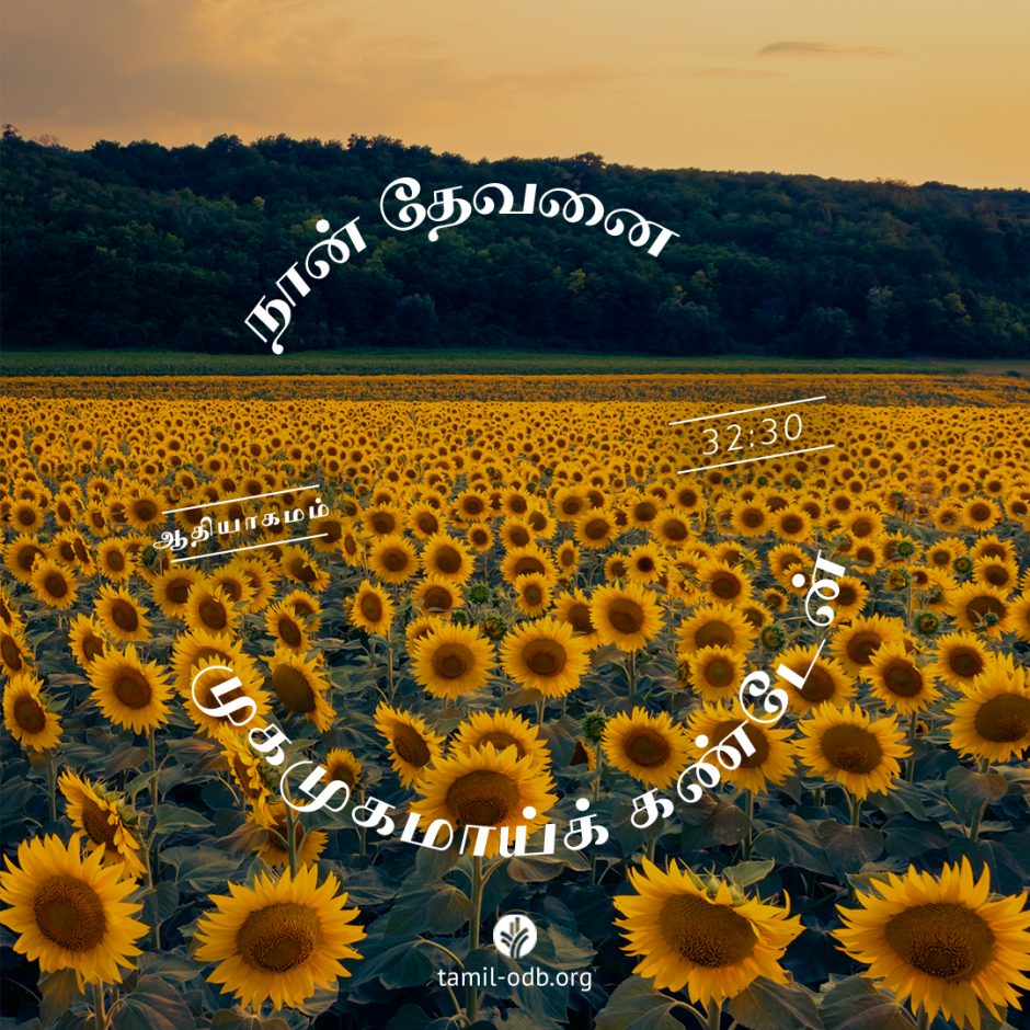 Share Tamil ODB 2025-12-19