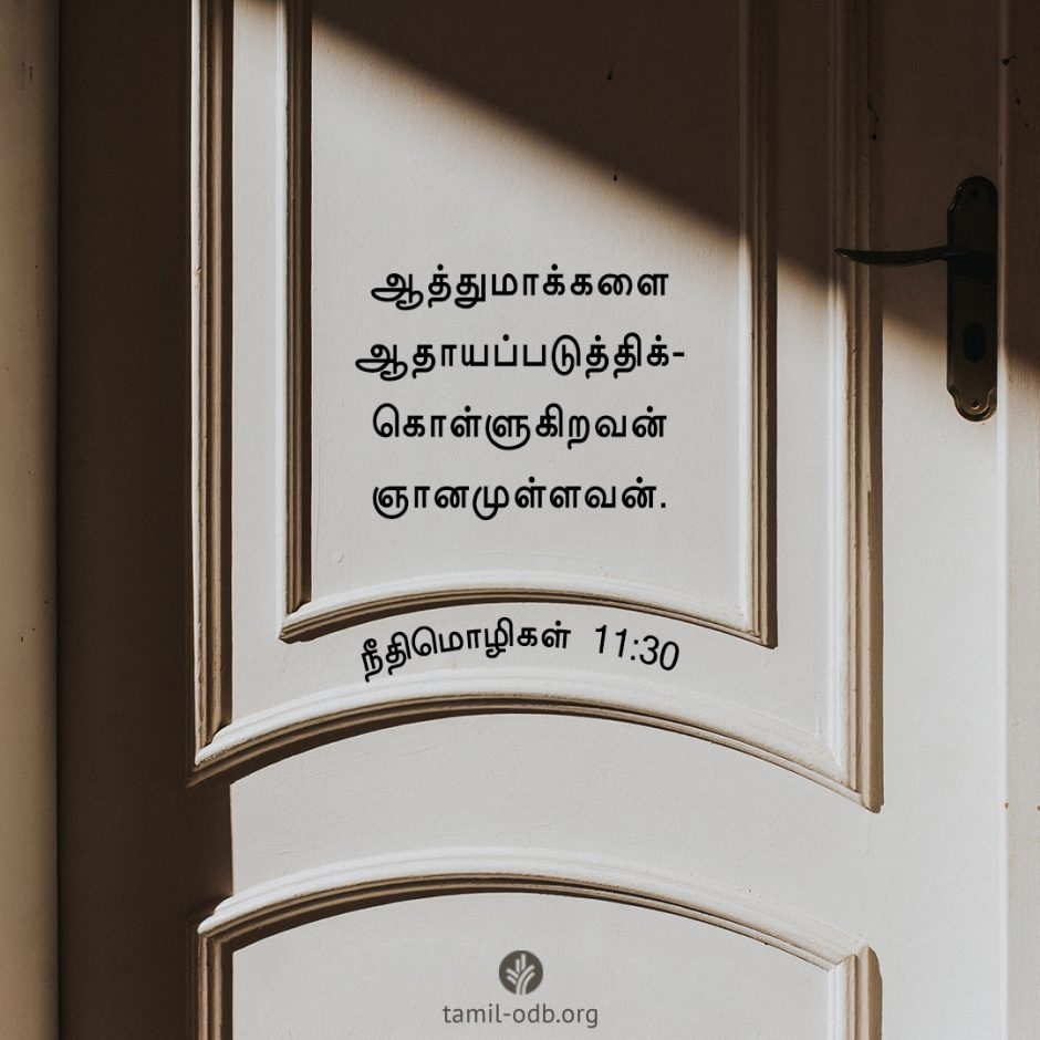 Share Tamil ODB 2025-12-27 Share Tamil ODB 2025-12-27