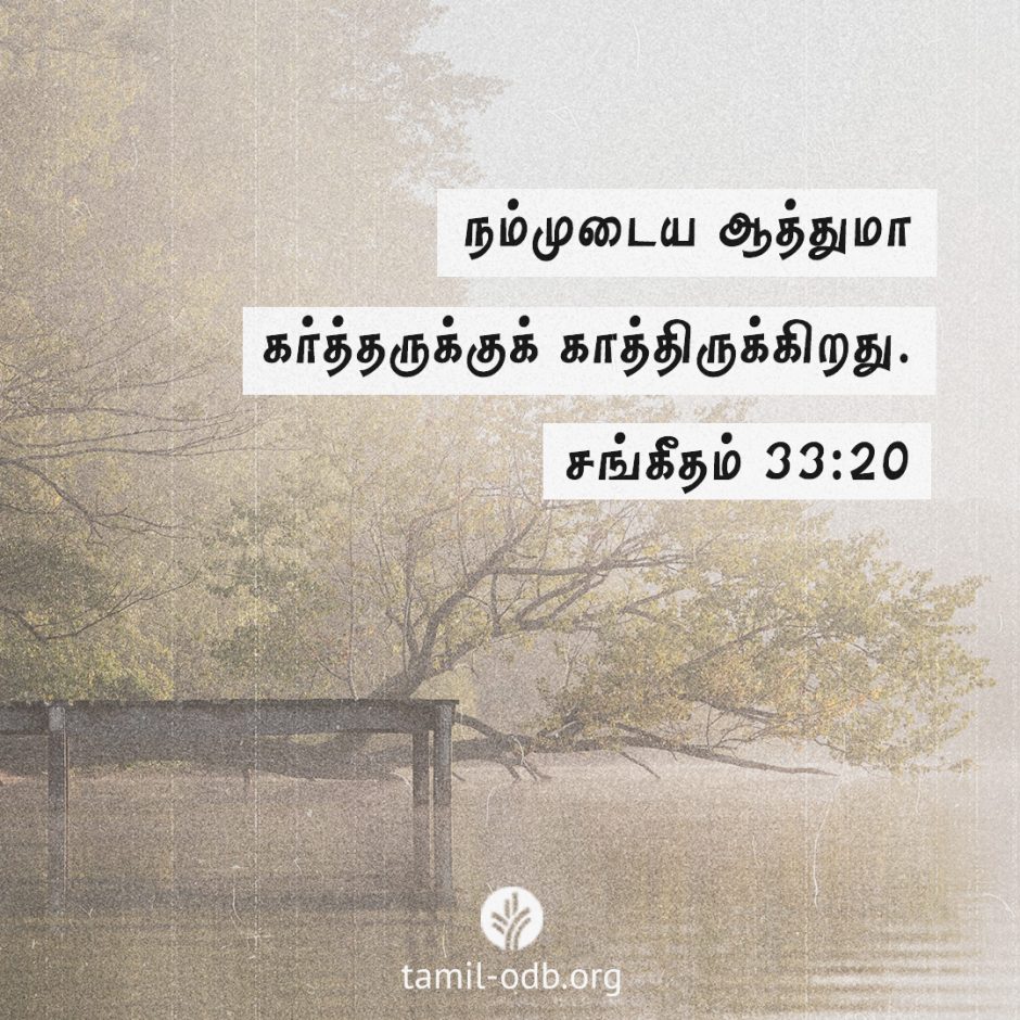 Share Tamil ODB 2026-01-03 Share Tamil ODB 2026-01-03