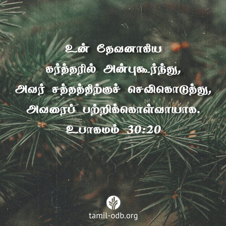 Share Tamil ODB 2026-01-05 Share Tamil ODB 2026-01-05