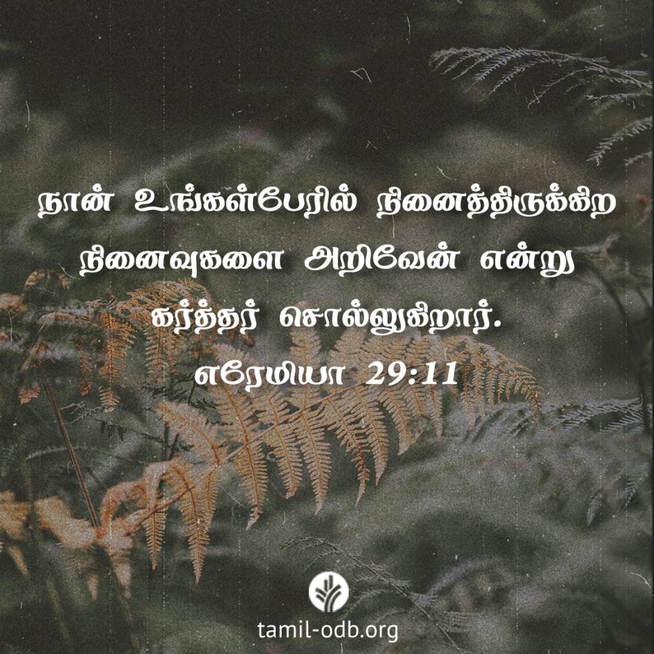 Share Tamil ODB 2026-01-25 Share Tamil ODB 2026-01-25