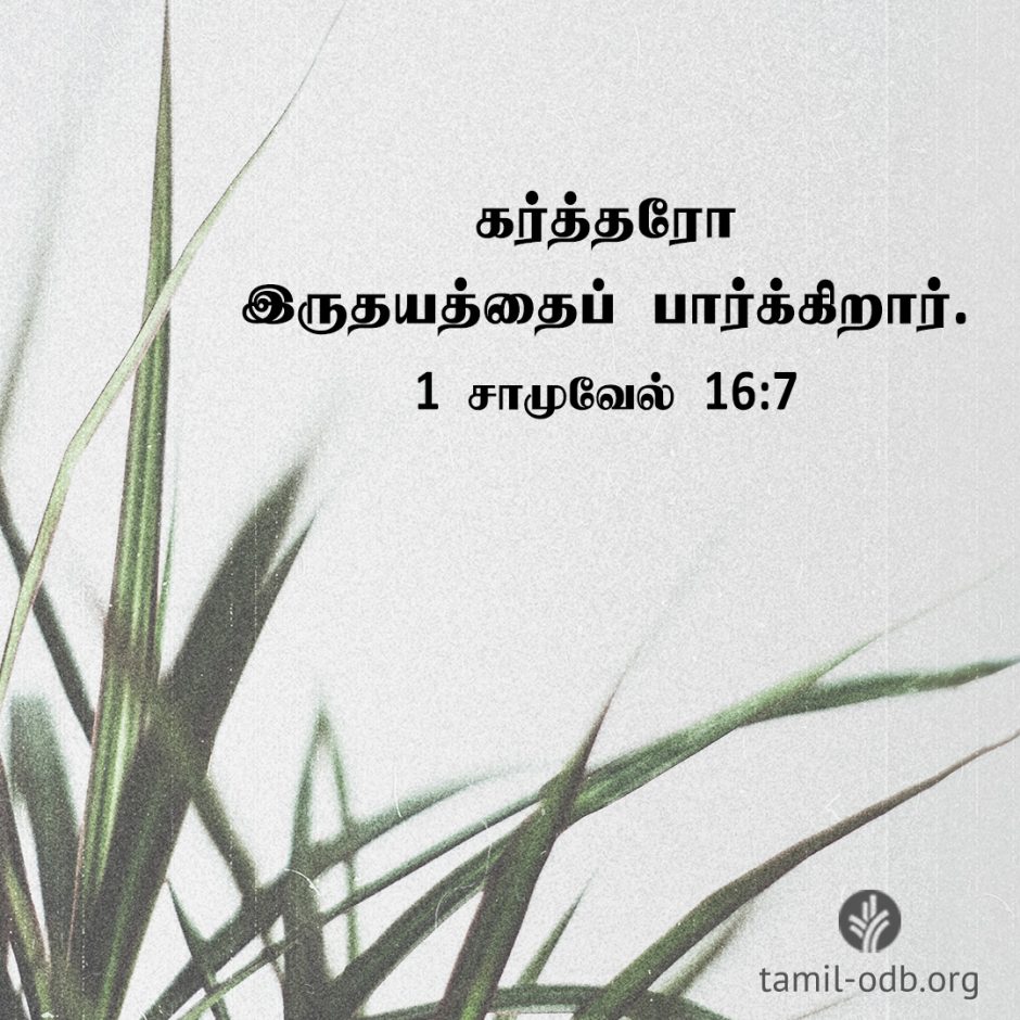 Share Tamil ODB 2026-01-26 Share Tamil ODB 2026-01-26