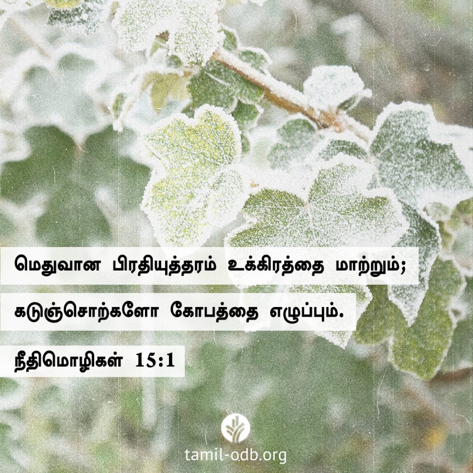 Share Tamil ODB 2026-01-27 Share Tamil ODB 2026-01-27