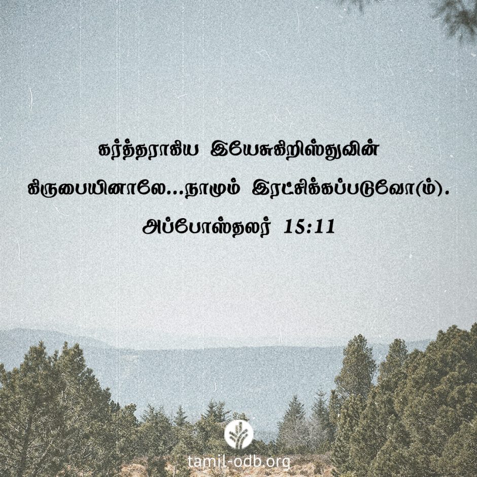 Share Tamil ODB 2026-01-28 Share Tamil ODB 2026-01-28