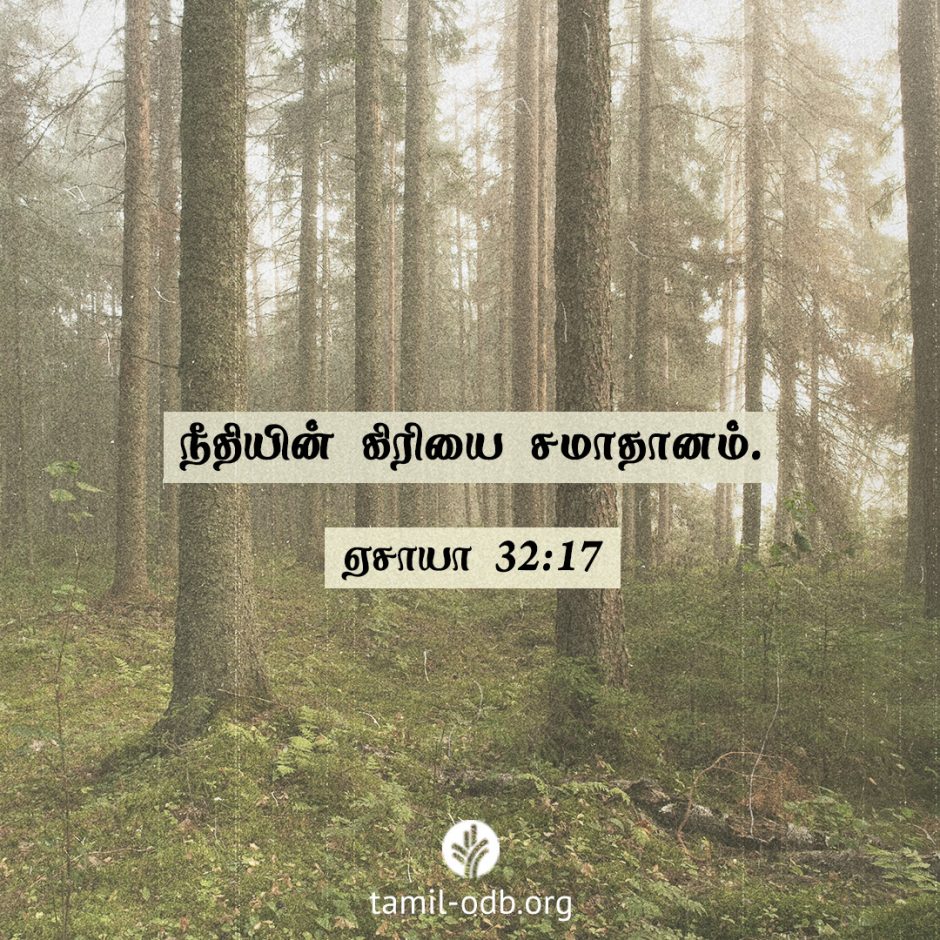 Share Tamil ODB 2026-01-30 Share Tamil ODB 2026-01-30