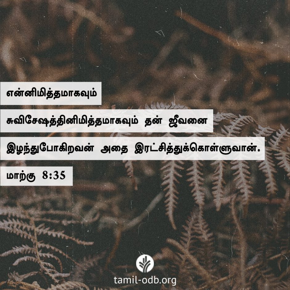 Share Tamil ODB 2026-01-31