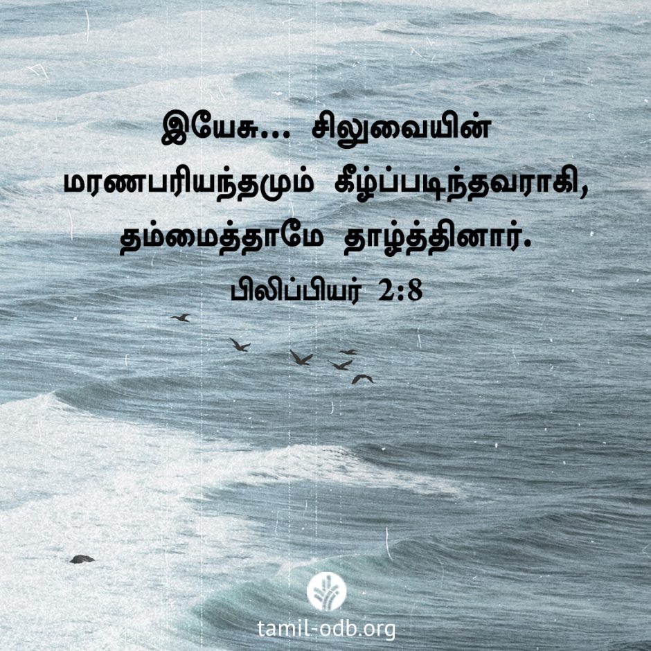 Share Tamil ODB 2026-02-01 Share Tamil ODB 2026-02-01