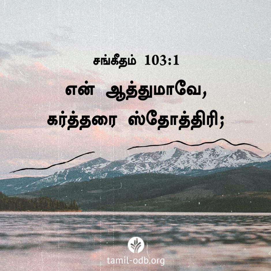 Share Tamil ODB 2026-02-04 Share Tamil ODB 2026-02-04