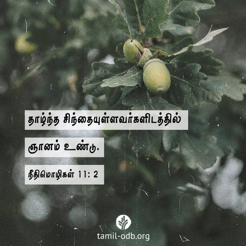 Share Tamil ODB 2026-02-08