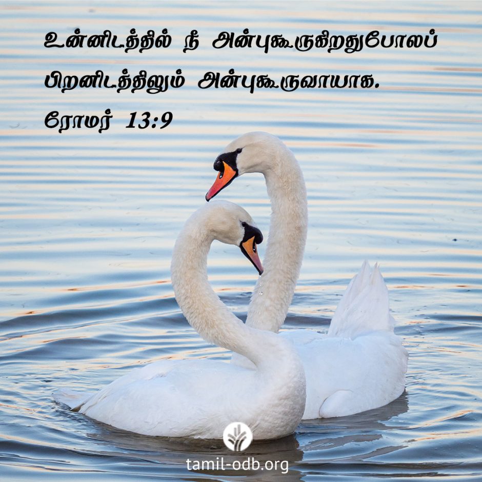 Share Tamil ODB 2026-02-09