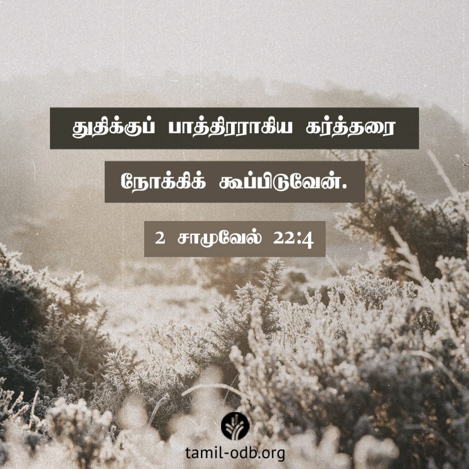 Share Tamil ODB 2026-02-11