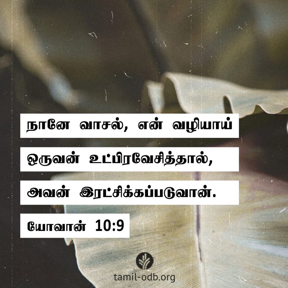 Share Tamil ODB 2026-02-21 Share Tamil ODB 2026-02-21