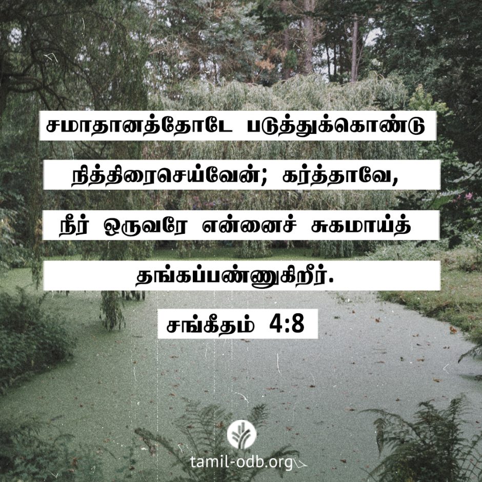 Share Tamil ODB 2026-02-26 Share Tamil ODB 2026-02-26