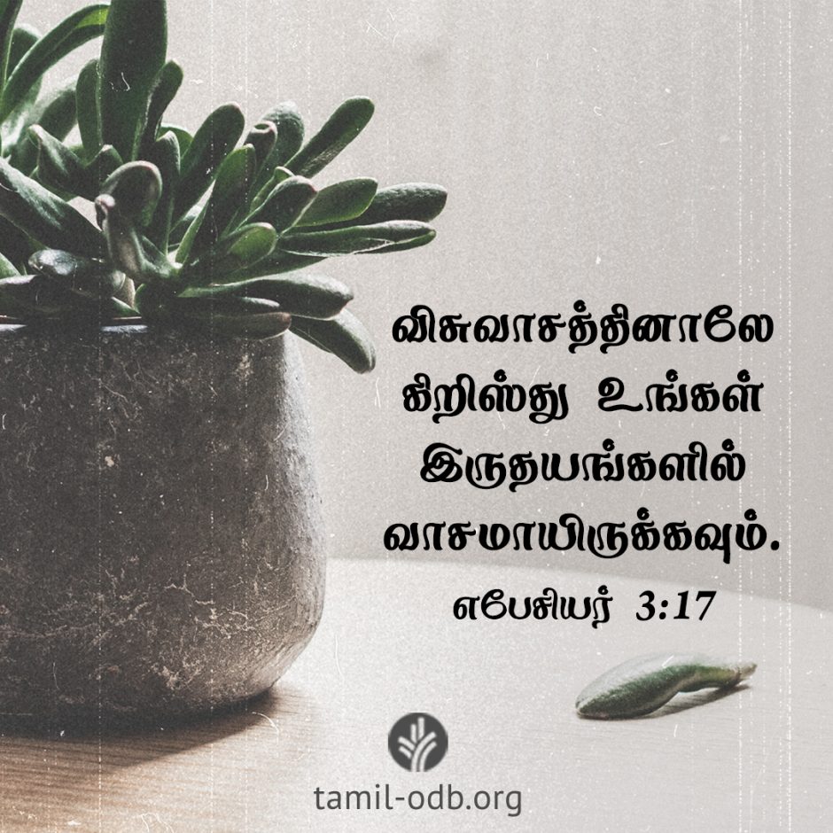 Share Tamil ODB 2026-03-04 Share Tamil ODB 2026-03-04