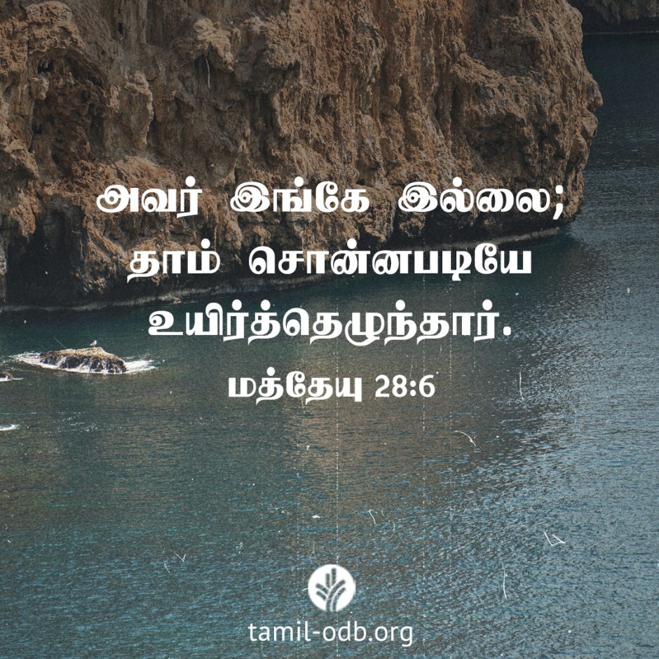 Share Tamil ODB 2026-03-31 Share Tamil ODB 2026-03-31