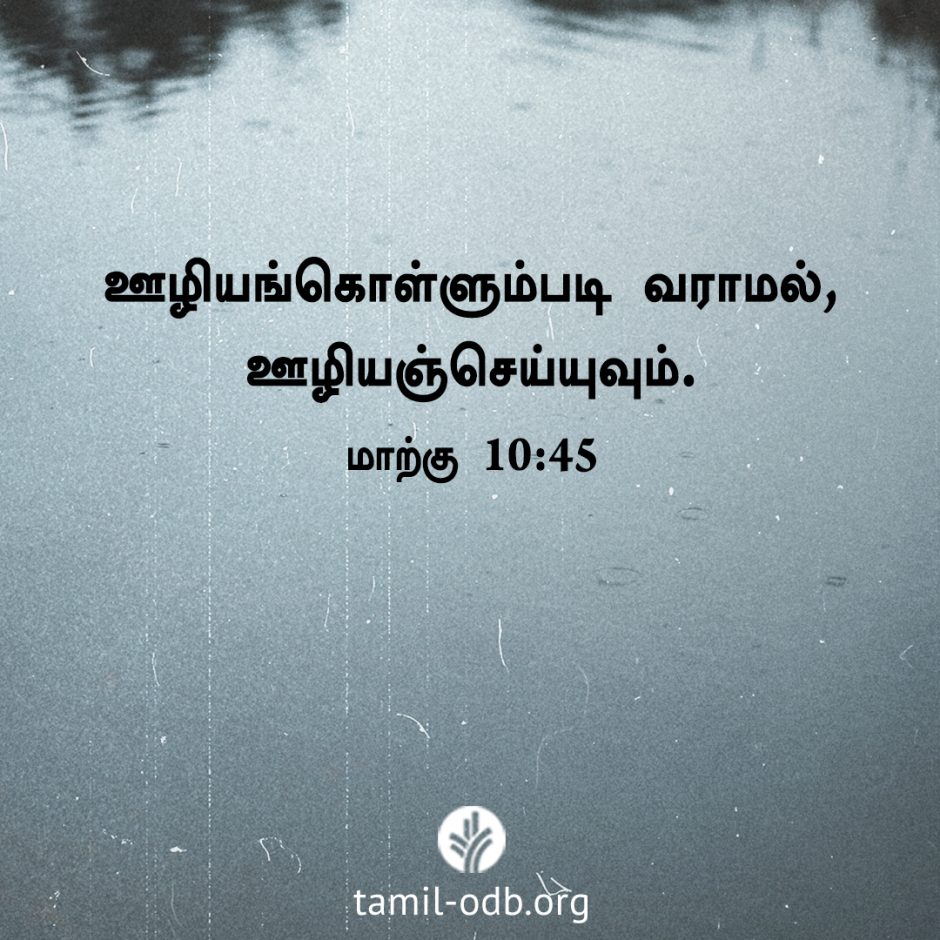 Share Tamil ODB 2026-03-01 Share Tamil ODB 2026-03-01