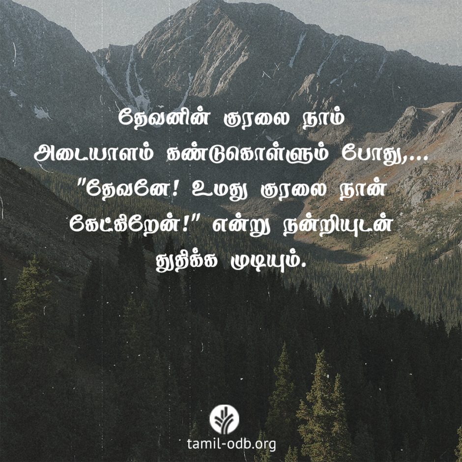 Share Tamil ODB 2026-04-03