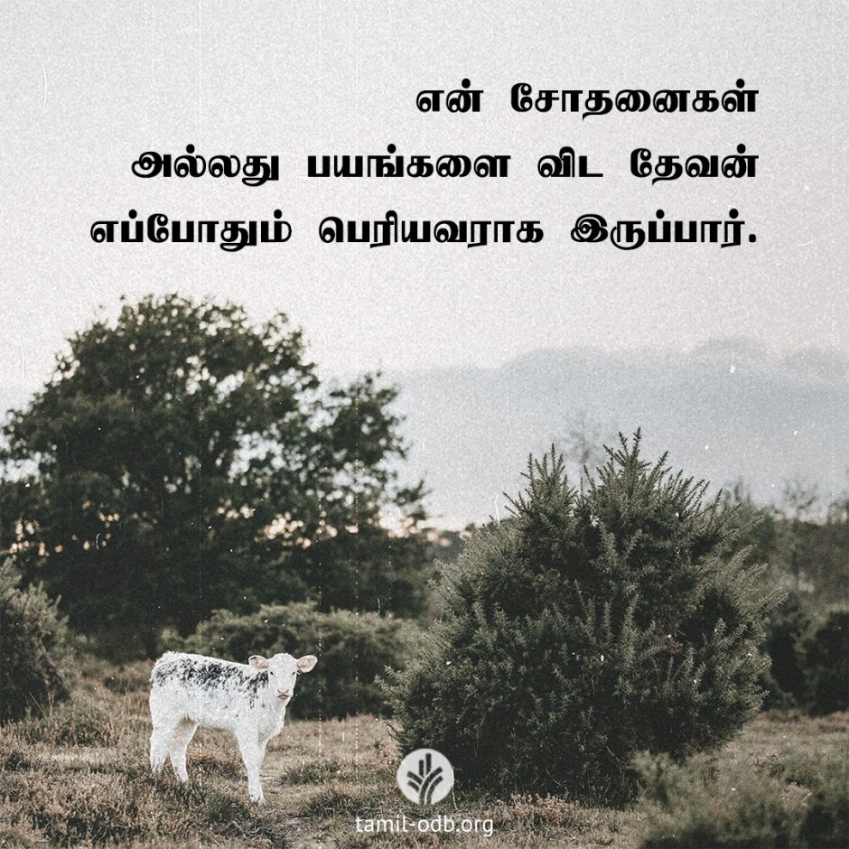 Share Tamil ODB 2026-04-04