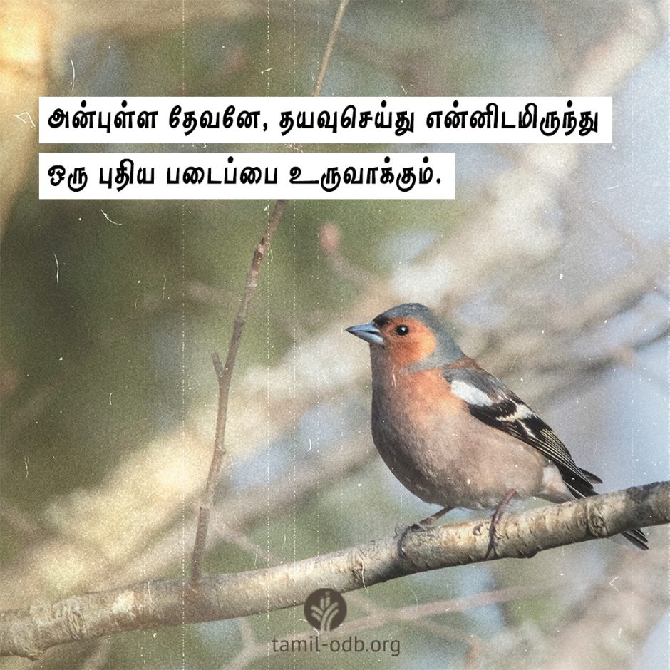 Share Tamil ODB 2026-04-06