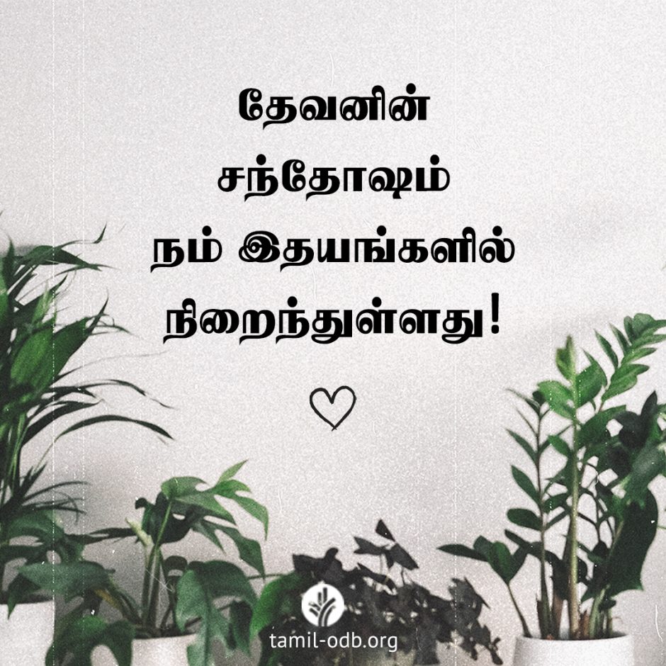 Share Tamil ODB 2026-04-08 Share Tamil ODB 2026-04-08