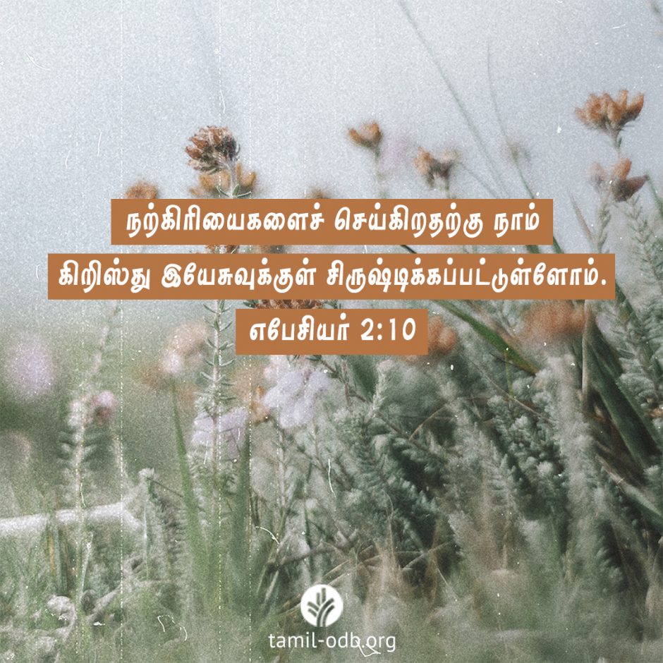 Share Tamil ODB 2026-04-09 Share Tamil ODB 2026-04-09