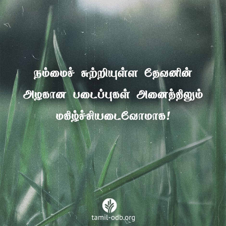 Share Tamil ODB 2026-04-11