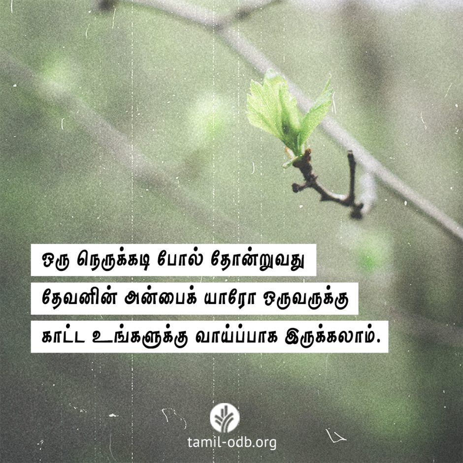 Share Tamil ODB 2026-04-12