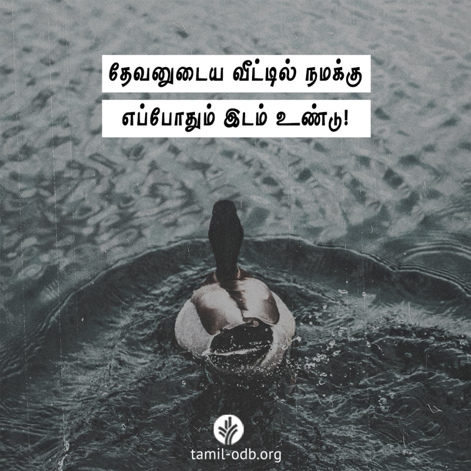 Share Tamil ODB 2026-04-15 Share Tamil ODB 2026-04-15