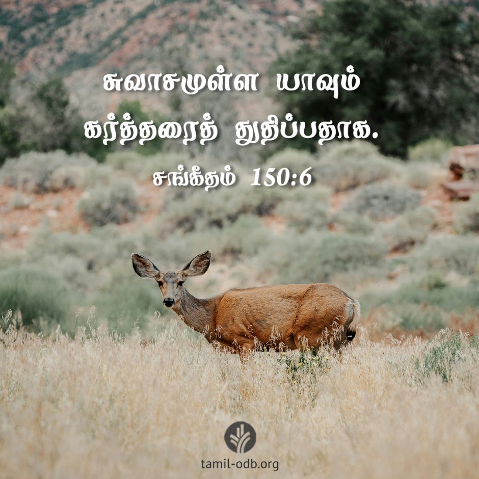 Share Tamil ODB 2026-04-19