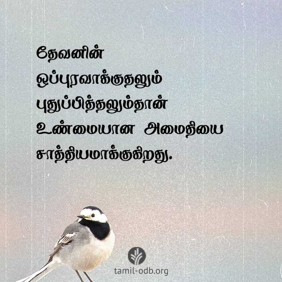 Share Tamil ODB 2026-04-23